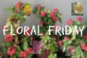 floral_friday